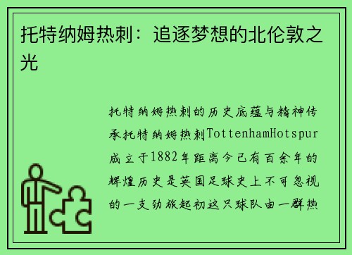 托特纳姆热刺：追逐梦想的北伦敦之光