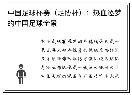 中国足球杯赛（足协杯）：热血逐梦的中国足球全景